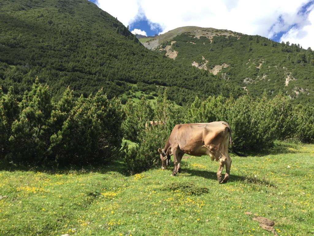 Appartamento Paola Livigno Exterior photo